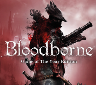 Bloodborne Game of the Year Edition PS Oyun kullananlar yorumlar